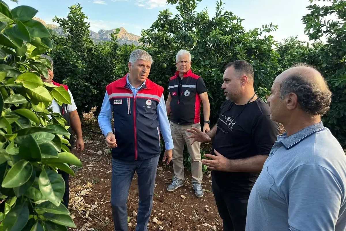 Dolu yağışı  Yüreğir ilçesindeki tarım arazilerinde zarara neden oldu