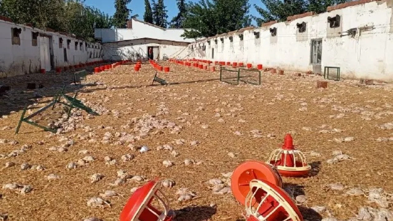 İmamoğlu’nda kahreden manzara