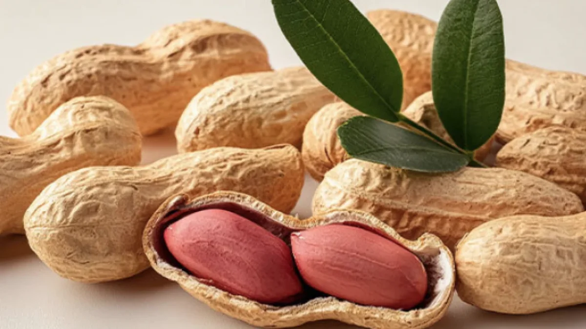 Herşeyin Azı yarar Çoğu zarar