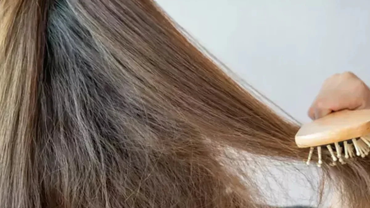 Kepeğe en iyi ne gelir?