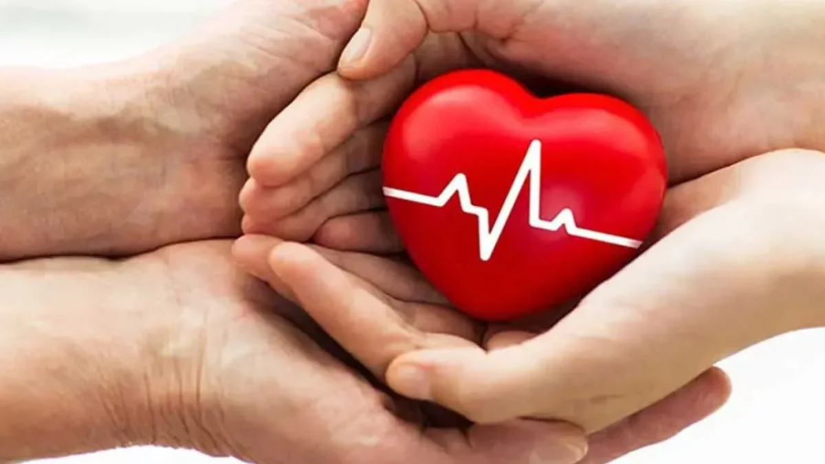 Son yapılan araştırmalara göre; 40’lı yaşlarla birlikte metabolizma hızı yavaşlıyor