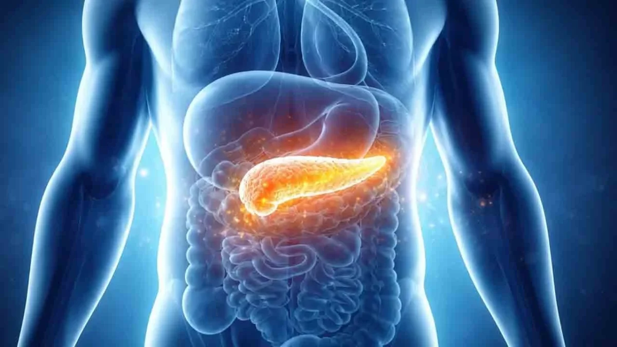 Pankreas kanserine karşı bağışıklık uyanıyor