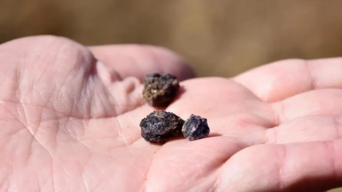 TÜRKİYE'NİN ÖNEMLİ AKTÖR OLACAĞI ÖNGÖRÜSÜ