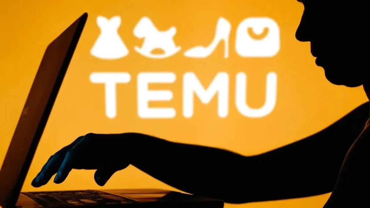 Türkiye'de e-ticaret dengelerini altüst eden, "bedavadan biraz pahalı