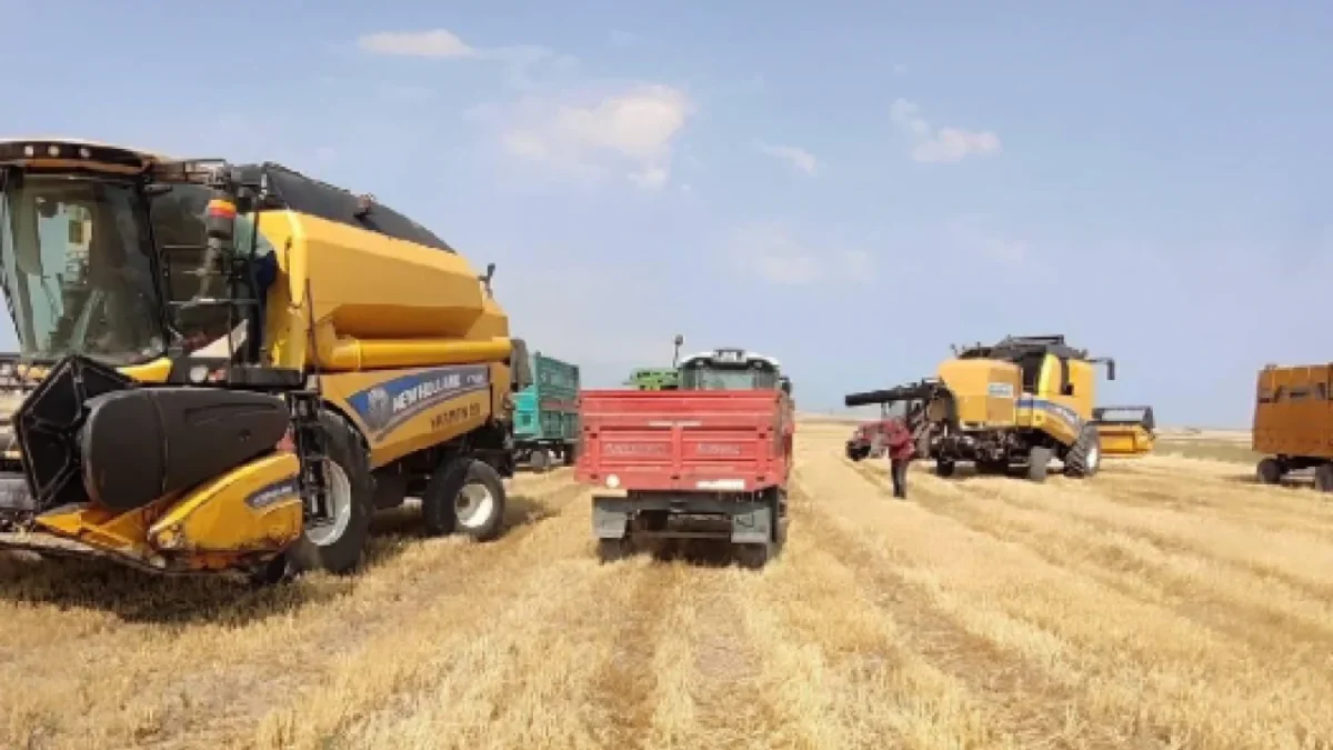 30 MİLYON LİRAYA KADAR DESTEK