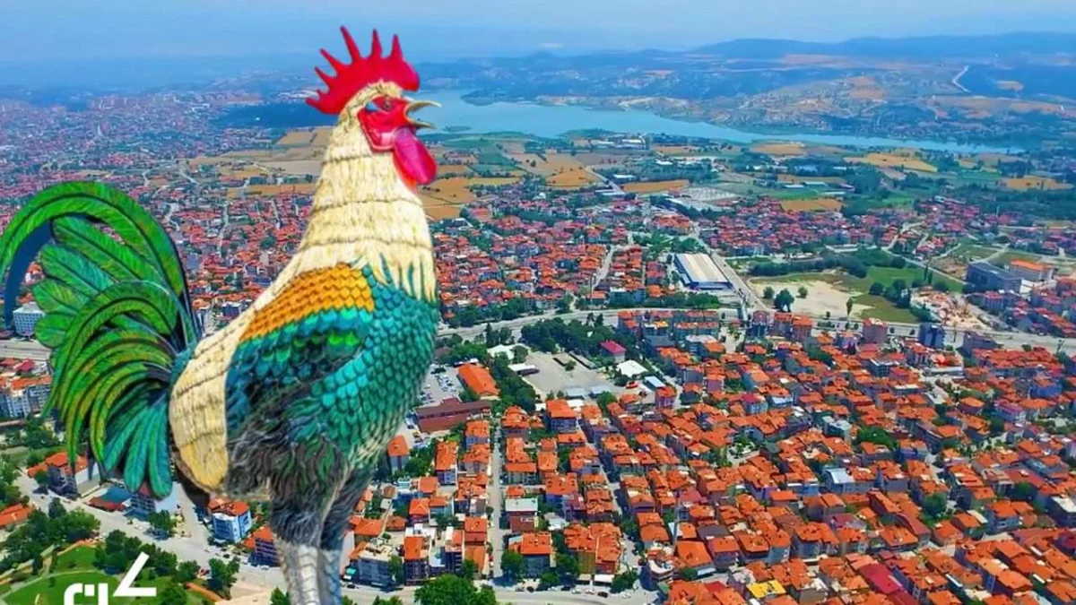 Denizli ( 20 )