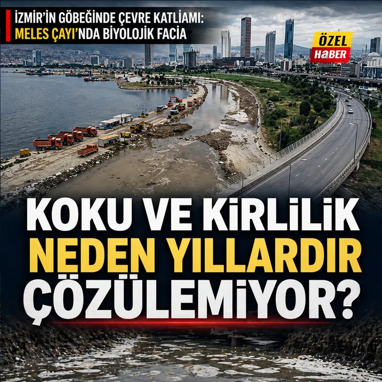 Canlıları öldürüyorsunuz, Güneşle canlının ilişkisini kesiyorsunuz