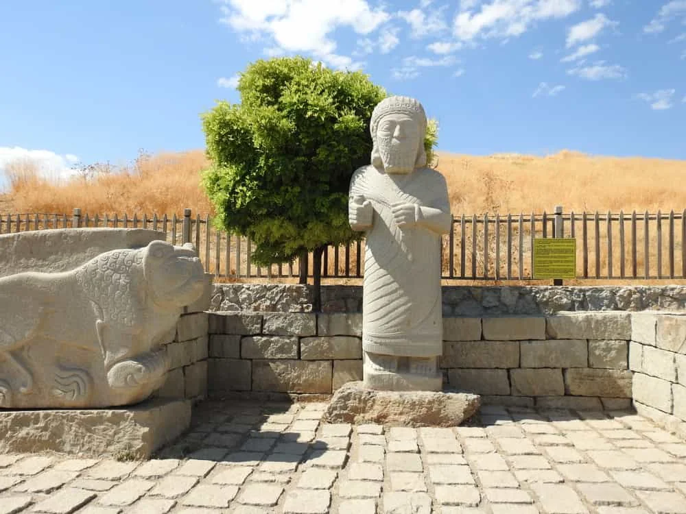 Malatya ( 44 )