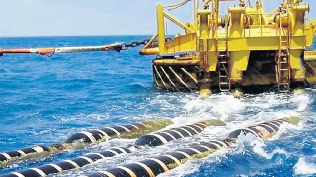 T&uuml;rkiye bizi elektriksiz bırakacak