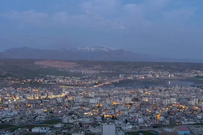 Şırnak  ( 73 )