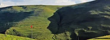 Ardahan  ( 75 )