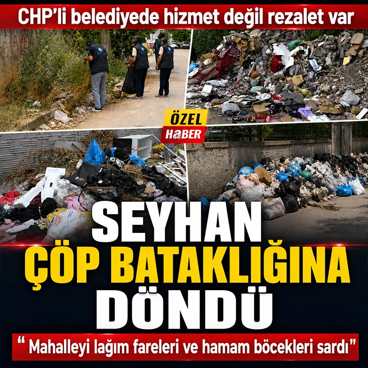 Adana sokaklarını çöp ve haşere bastı