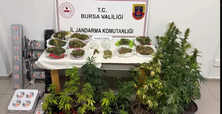 Jandarma Genel Komutanlığı Narkotik Suçlarla Mücadele Daire Başkanlığı